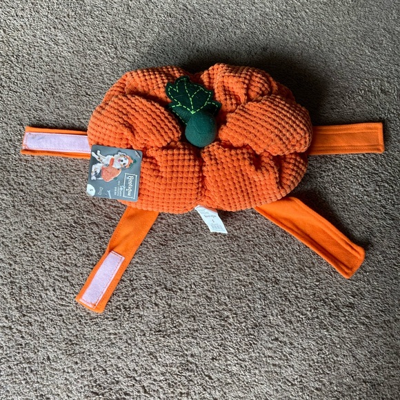 Pumpkin Pet Costume - Picture 3 of 6